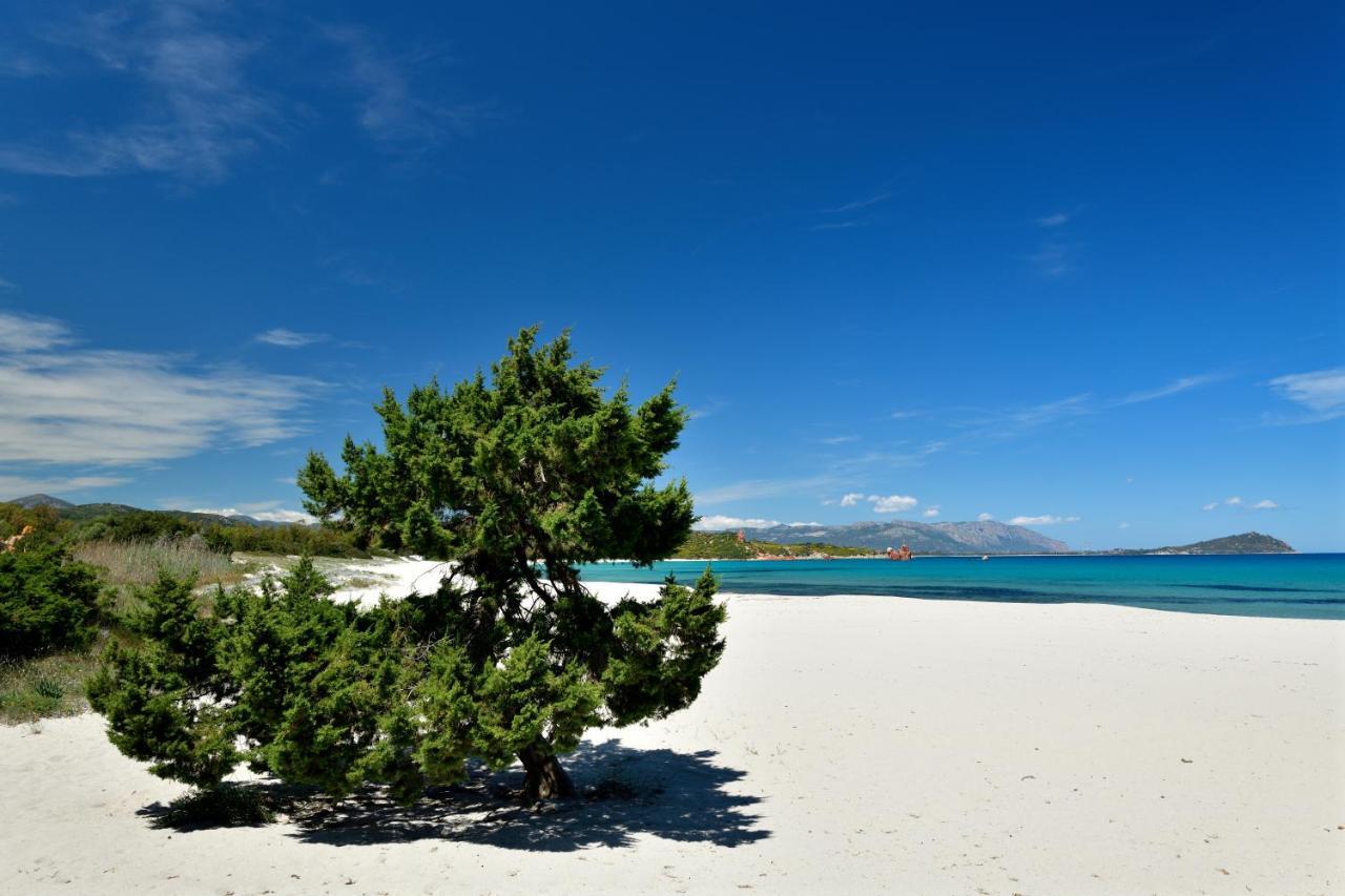 Casa Vacanze Il Mirto Bari Sardo Bagian luar foto